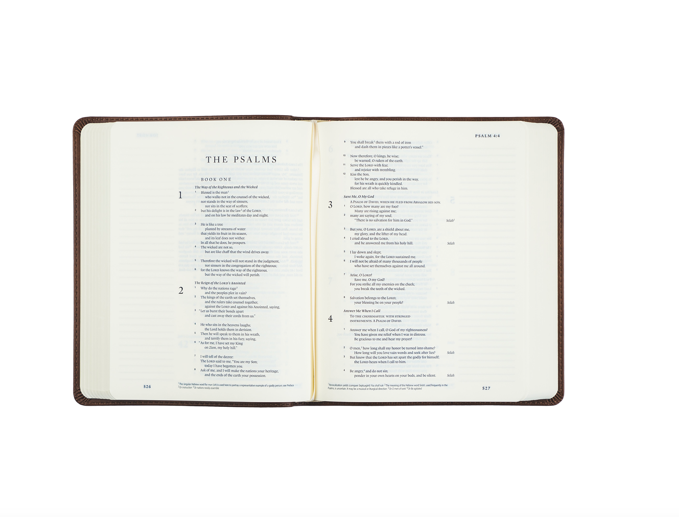 ESV Journaling Bible: Westminster Theme